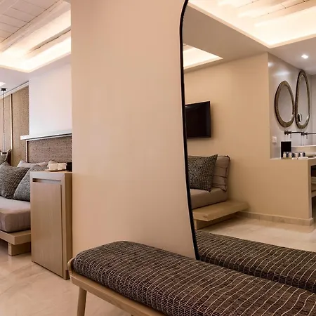 호텔 Amazon And Spa, A Member Of Mykonos Highlights Agios Ioannis Diakoftis